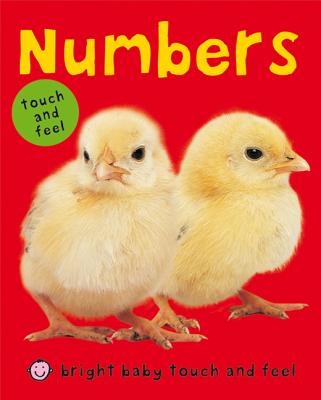 Numbers (Bright Baby Touch and Feel): A First Sensory Tactile Book by Roger Priddy book cover