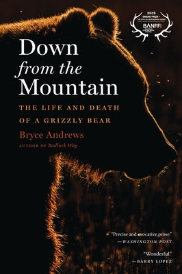 Down from the Mountain: The Life and Death of a Grizzly Bear by Bryce Andrews book cover