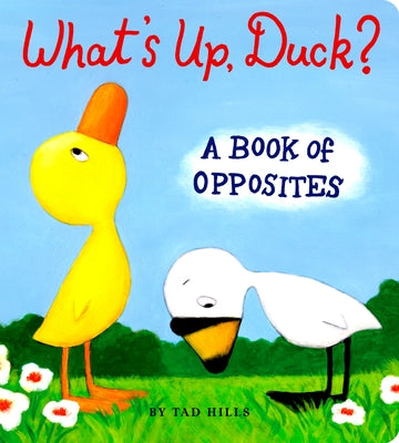 What's Up, Duck?: A Book of Opposites by Tad Hills book cover