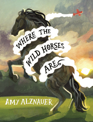 Where the Wild Horses Are by Amy Alznauer book cover