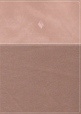 Rvr60, Biblia de Estudio de la Vida Plena, Edici by Rvr 1960- Reina Valera 1960 book cover
