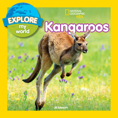 Explore My World: Kangaroos by Jill Esbaum book cover
