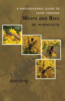 A Photographic Guide to Some Common Wasps and Bees of Minnesota by Scott King book cover
