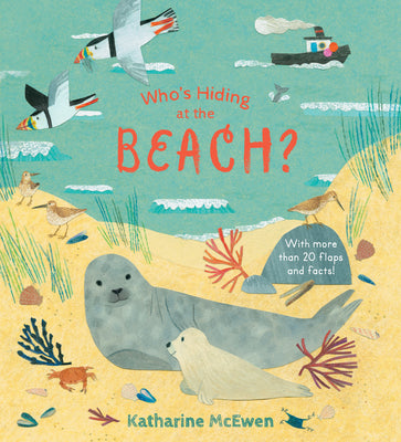 Who's Hiding at the Beach? by Katharine McEwen book cover