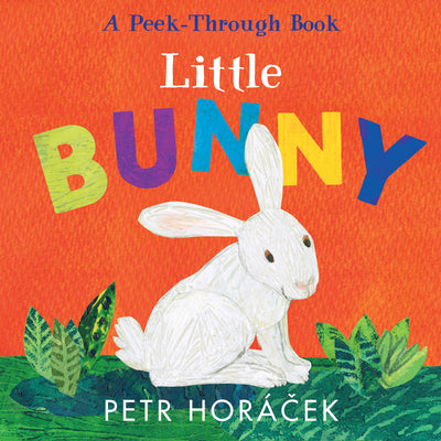 Little Bunny by Petr Horacek book cover
