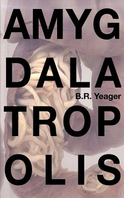 Amygdalatropolis by Edia Connole book cover