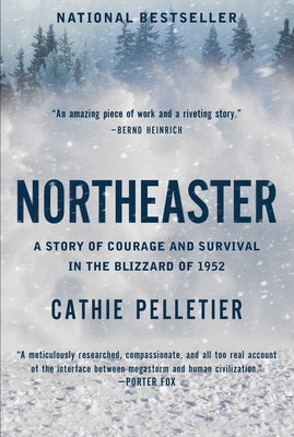 Northeaster: A Story of Courage and Survival in the Blizzard of 1952 by Cathie Pelletier book cover