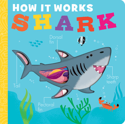 How It Works: Shark by Molly Littleboy book cover