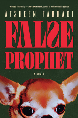 False Prophet by Afsheen Farhadi book cover