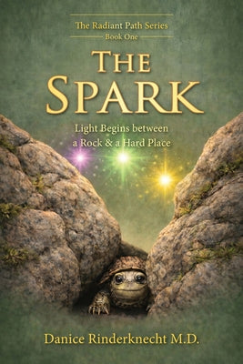 The Spark: Light Begins between a Rock and a Hard Place by Danice Rinderknecht book cover