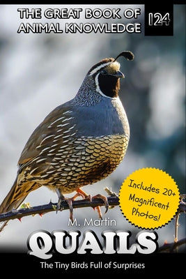 Quail: The Tiny Birds Full of Surprises