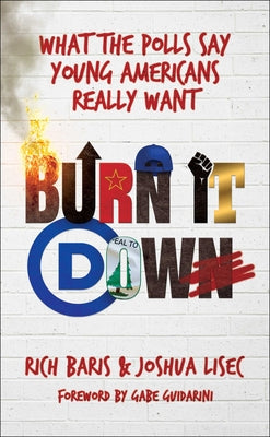 Burn It Down: What the Polls Say Young Americans Really Want by Rich Baris book cover