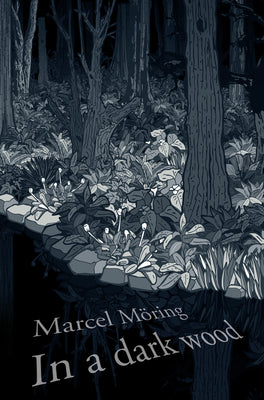 Book cover of In A Dark Wood by M