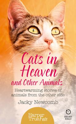 Book cover of Cats in Heaven: And Other Animals. Heartwarming Stories of Animals from the Other Side. by Newcomb, Jacky