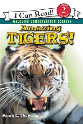 Book cover of Amazing Tigers! by Thomson, Sarah L.