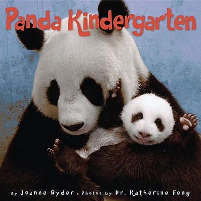 Book cover of Panda Kindergarten by Ryder, Joanne