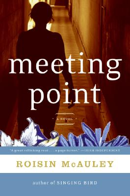 Book cover of Meeting Point by McAuley, Roisin