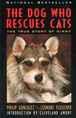 Book cover of The Dog Who Rescues Cats: True Story of Ginny, the by Gonzalez, Philip