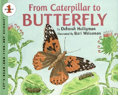 Book cover of From Caterpillar to Butterfly by Heiligman, Deborah