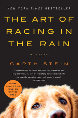 Book cover of The Art of Racing in the Rain by Stein, Garth