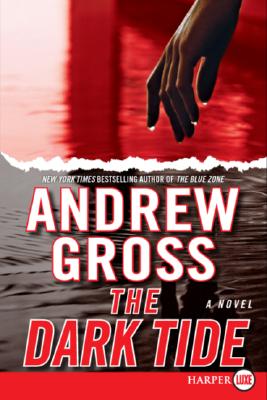 Book cover of The Dark Tide by Gross, Andrew