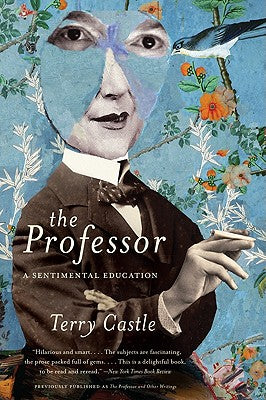 Book cover of The Professor: A Sentimental Education by Castle, Terry