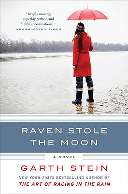 Book cover of Raven Stole the Moon by Stein, Garth