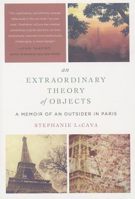Book cover of An Extraordinary Theory of Objects by Lacava, Stephanie