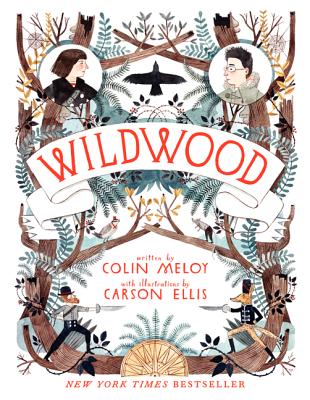 Book cover of Wildwood by Meloy, Colin