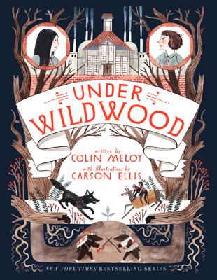 Under Wildwood by Meloy, Colin book cover