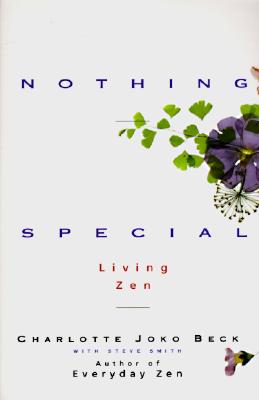 Nothing Special by Beck, Charlotte J. book cover