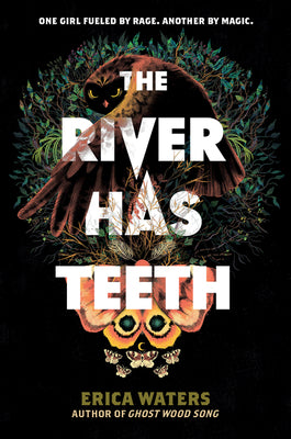 Book cover of The River Has Teeth by Waters, Erica
