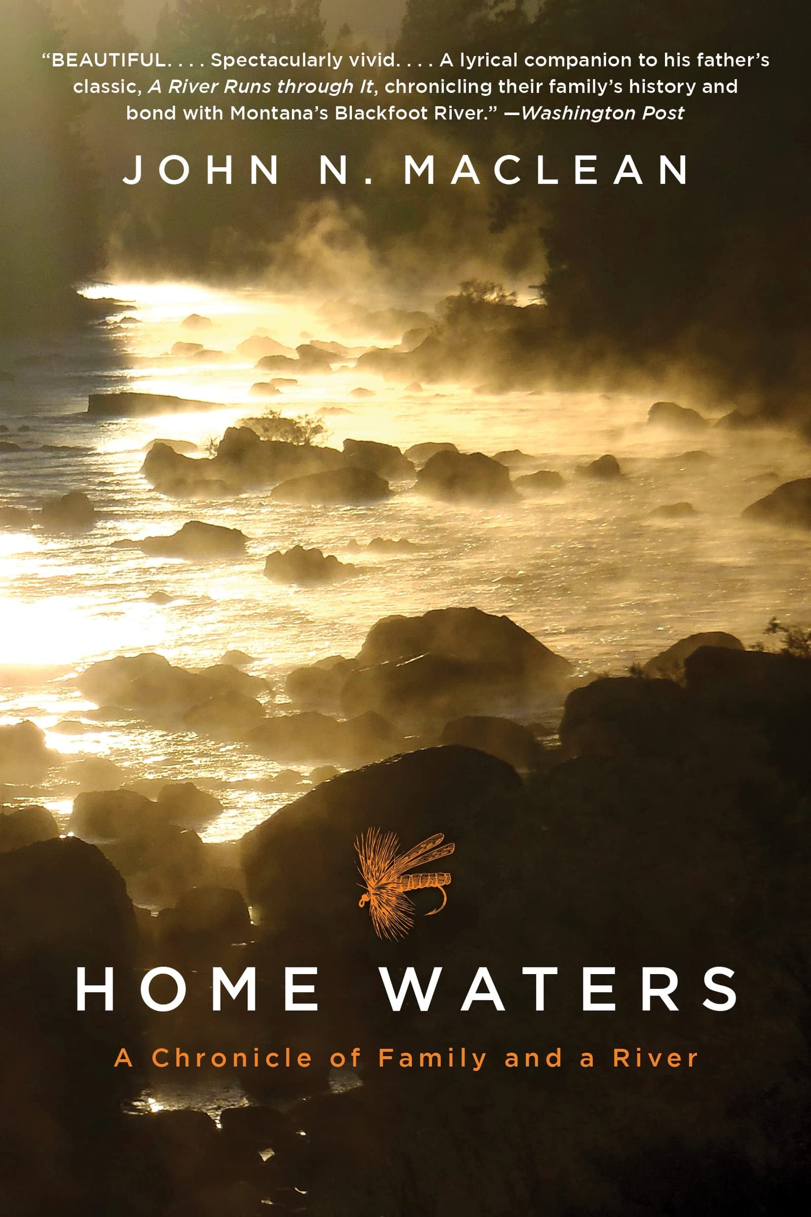 Book cover of Home Waters by MacLean, John N.