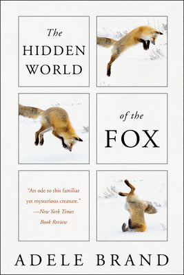 Book cover of The Hidden World of the Fox by Brand, Adele