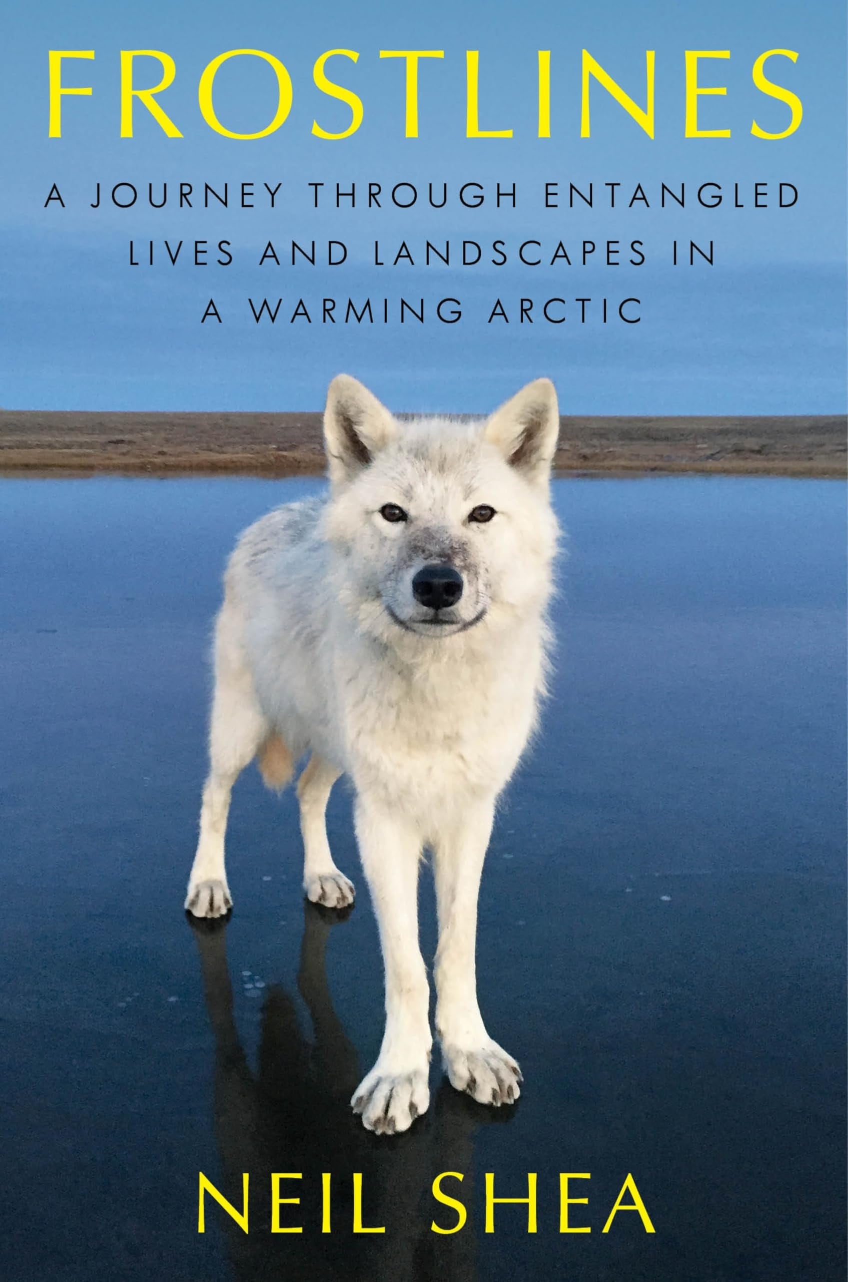 Book cover of Frostlines: A Journey Through Entangled Lives and Landscapes in a Warming Arctic by Shea, Neil