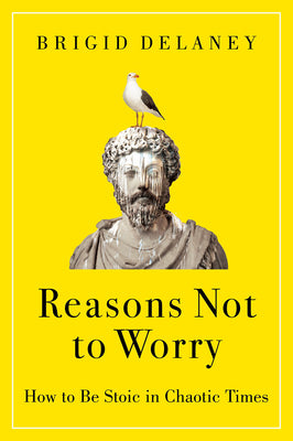 Book cover of Reasons Not to Worry: How to Be Stoic in Chaotic Times by Delaney, Brigid