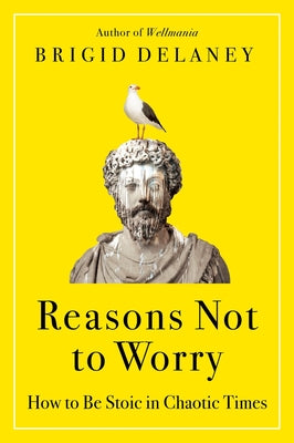 Book cover of Reasons Not to Worry: How to Be Stoic in Chaotic Times by Delaney, Brigid