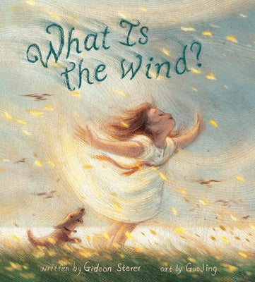 What Is the Wind? by Gideon Sterer book cover
