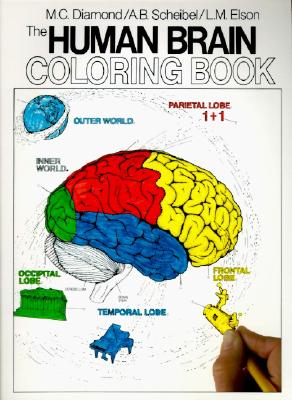 Book cover of The Human Brain Coloring Book by Diamond, Marian C.