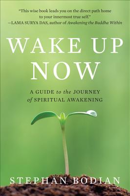 Book cover of Wake Up Now by Bodian, Stephan