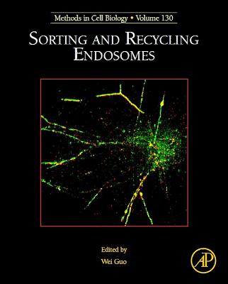 Book cover of Sorting and Recycling Endosomes: Volume 130 by Guo, Wei