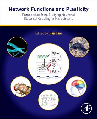 Book cover of Network Functions and Plasticity: Perspectives from Studying Neuronal Electrical Coupling in Microcircuits by Jing, Jian