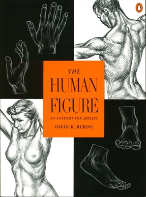 Book cover of The Human Figure: An Anatomy for Artists by Rubins, David K.