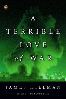 Book cover of A Terrible Love of War by Hillman, James
