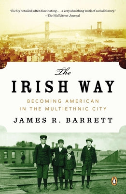 Book cover of The Irish Way: Becoming American in the Multiethnic City by Barrett, James R.