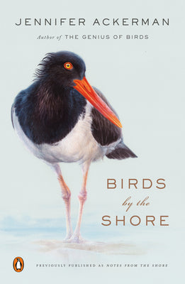 Book cover of Birds by the Shore: Observing the Natural Life of the Atlantic Coast by Ackerman, Jennifer