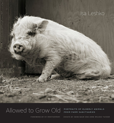Book cover of Allowed to Grow Old: Portraits of Elderly Animals from Farm Sanctuaries by Leshko, Isa