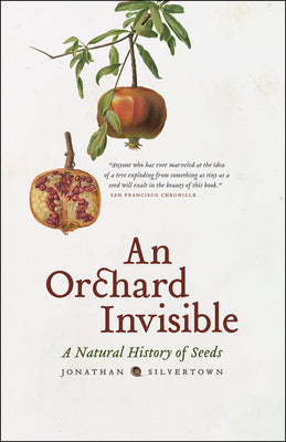 Book cover of An Orchard Invisible: A Natural History of Seeds by Silvertown, Jonathan