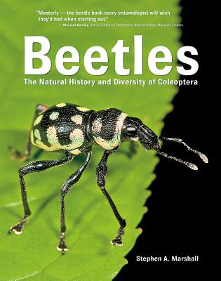 Book cover of Beetles: The Natural History and Diversity of Coleoptera by Marshall, Stephen A.