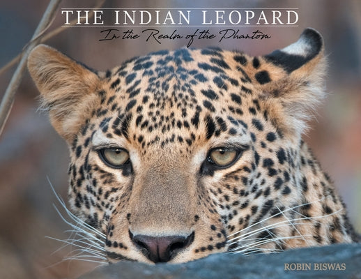 Book cover of The Indian Leopard: In the Realm of the Phantom by Biswas, Robin